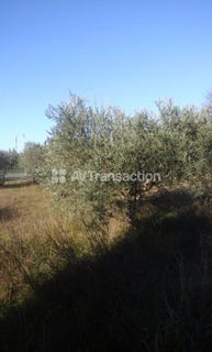 /international/fr/merindol-rhone-310108869943/