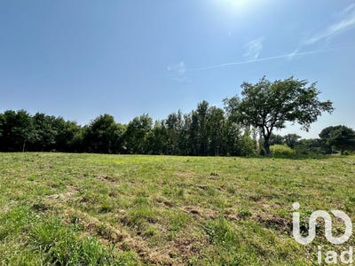 /international/fr/gaillac-midi-pyrenees-310100273116/
