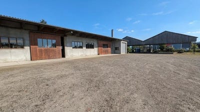 /international/fr/kingersheim-alsace-310107919776/