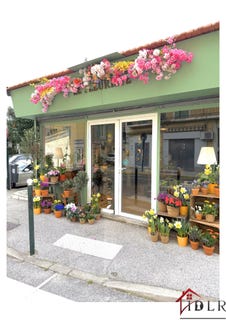 /international/fr/hyeres-provence-alpes-cote-d-azur-310109463811/