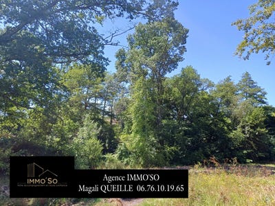 /international/fr/la-brede-limousin-310106403438/