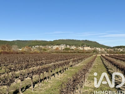 /international/fr/laudun-l-ardoise-languedoc-roussillon-310108555959/