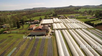 /international/fr/dausse-aquitaine-310099042993/