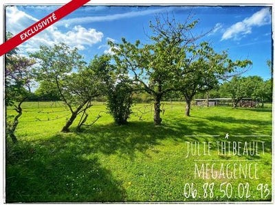 /international/fr/vion-pays-de-la-loire-310099119011/
