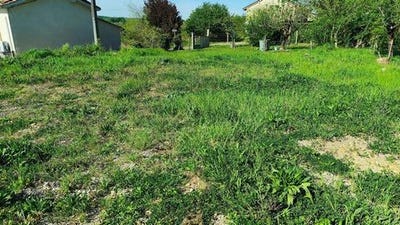 /international/fr/saint-denis-de-pile-aquitaine-310105773711/