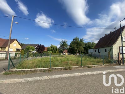 /international/fr/walbourg-alsace-310102644626/