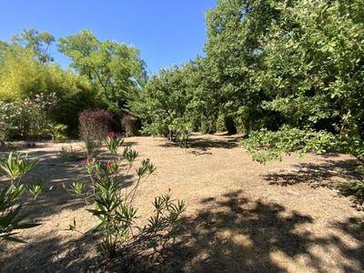 /international/fr/uzes-languedoc-roussillon-310100960984/