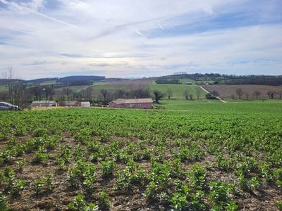 /international/fr/puycasquier-midi-pyrenees-310104959530/