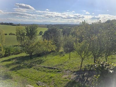 /international/fr/nailloux-midi-pyrenees-310101384081/