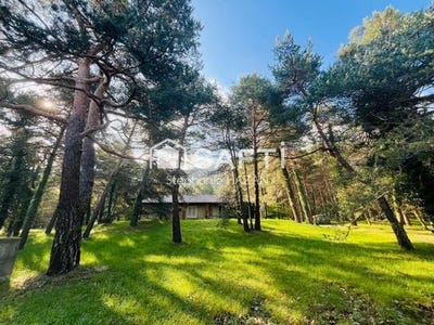 /international/fr/auriol-provence-alpes-cote-d-azur-310099228188/