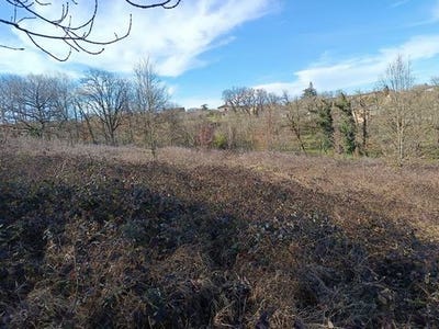 /international/fr/mirandol-bourgnounac-midi-pyrenees-310107023538/