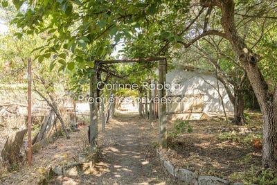 /international/fr/lespinasse-midi-pyrenees-310119680388/
