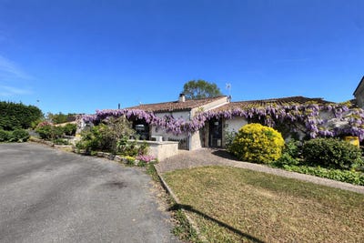 /international/fr/saint-loup-burgundy-310107357932/