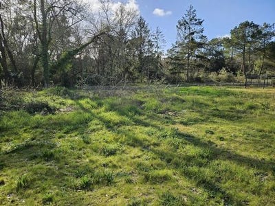 /international/fr/saint-hilaire-de-riez-pays-de-la-loire-310107148349/