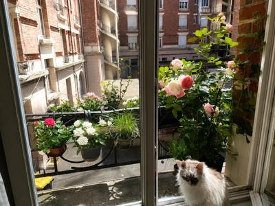 /international/fr/la-madeleine-lorraine-310109485540/
