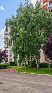 /international/fr/la-riche-centre-val-de-loire-310108003812/