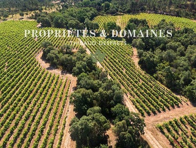 /international/fr/var-provence-alpes-cote-d-azur-310099942702/
