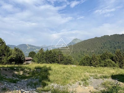 /international/fr/les-gets-rhone-310109691263/