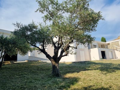 /international/fr/manosque-provence-alpes-cote-d-azur-310108465493/