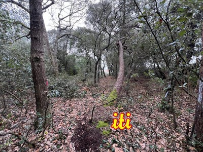 /international/fr/chateau-d-olonne-pays-de-la-loire-310098837970/
