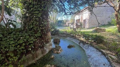 /international/fr/cellettes-charente-310107189870/