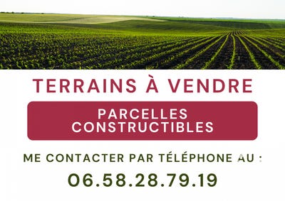 /international/fr/narbonne-languedoc-roussillon-310101413620/
