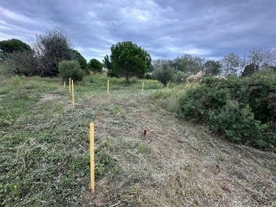 /international/fr/saint-hippolyte-languedoc-roussillon-310106237849/