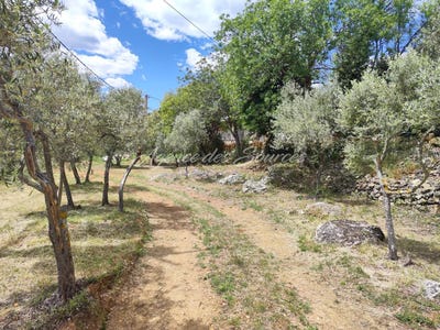 /international/fr/tavernes-provence-alpes-cote-d-azur-310099657227/