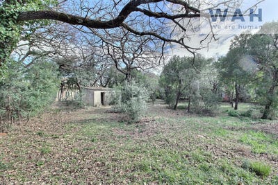 /international/fr/viols-le-fort-languedoc-roussillon-310105912256/