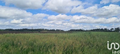 /international/fr/saint-jacut-les-pins-brittany-310100235536/