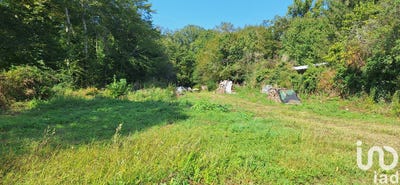 /international/fr/luant-centre-val-de-loire-310100854354/