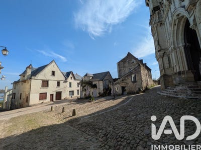 /international/fr/candes-saint-martin-centre-val-de-loire-310106741146/