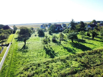 /international/fr/grussenheim-alsace-310103014817/