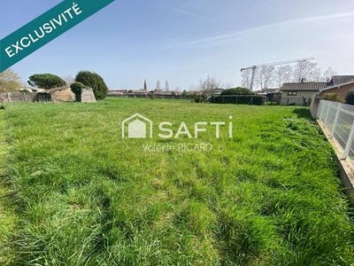 /international/fr/negrepelisse-midi-pyrenees-310106222099/