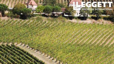 /international/fr/saint-mont-rhone-120082191270/