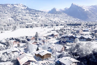 /international/fr/morillon-rhone-310107887977/