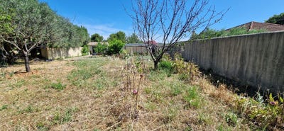 /international/fr/fontes-languedoc-roussillon-310101736655/