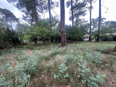 /international/fr/lacanau-aquitaine-120088739700/