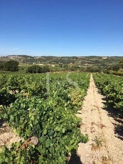 /international/fr/seguret-provence-alpes-cote-d-azur-310105408710/?lang=zh-tw