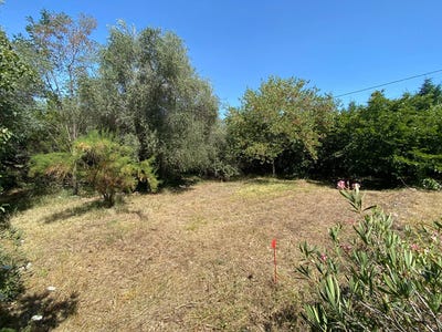 /international/fr/grasse-provence-alpes-cote-d-azur-310099615182/