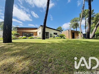 /international/fr/rives-du-loir-en-anjou-pays-de-la-loire-310108778664/