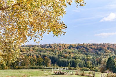 /international/fr/pont-l-eveque-upper-normandy-310108242525/
