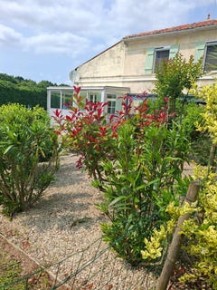 /international/fr/tesson-charente-310100742301/