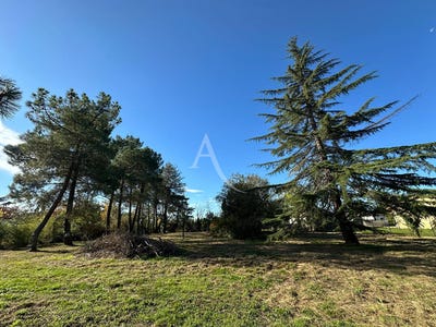 /international/fr/buzet-sur-tarn-midi-pyrenees-310106593357/