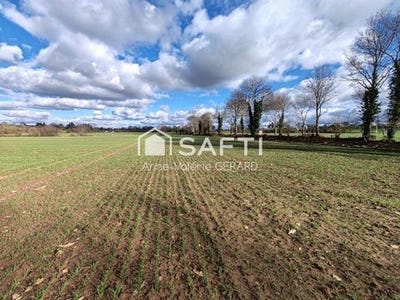 /international/fr/fougerolles-du-plessis-pays-de-la-loire-310108994856/