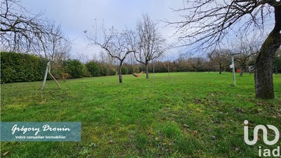 /international/fr/beaumont-du-gatinais-ile-de-france-310096772315/?lang=en