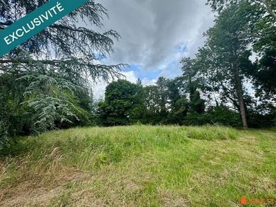 /international/fr/vatteville-la-rue-upper-normandy-310106082660/