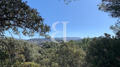 /international/fr/vaison-la-romaine-provence-alpes-cote-d-azur-310109940546/
