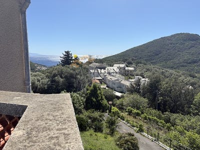 /international/fr/santa-maria-di-lota-corsica-310108785454/