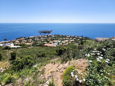 /international/fr/saint-raphael-provence-alpes-cote-d-azur-310100460263/